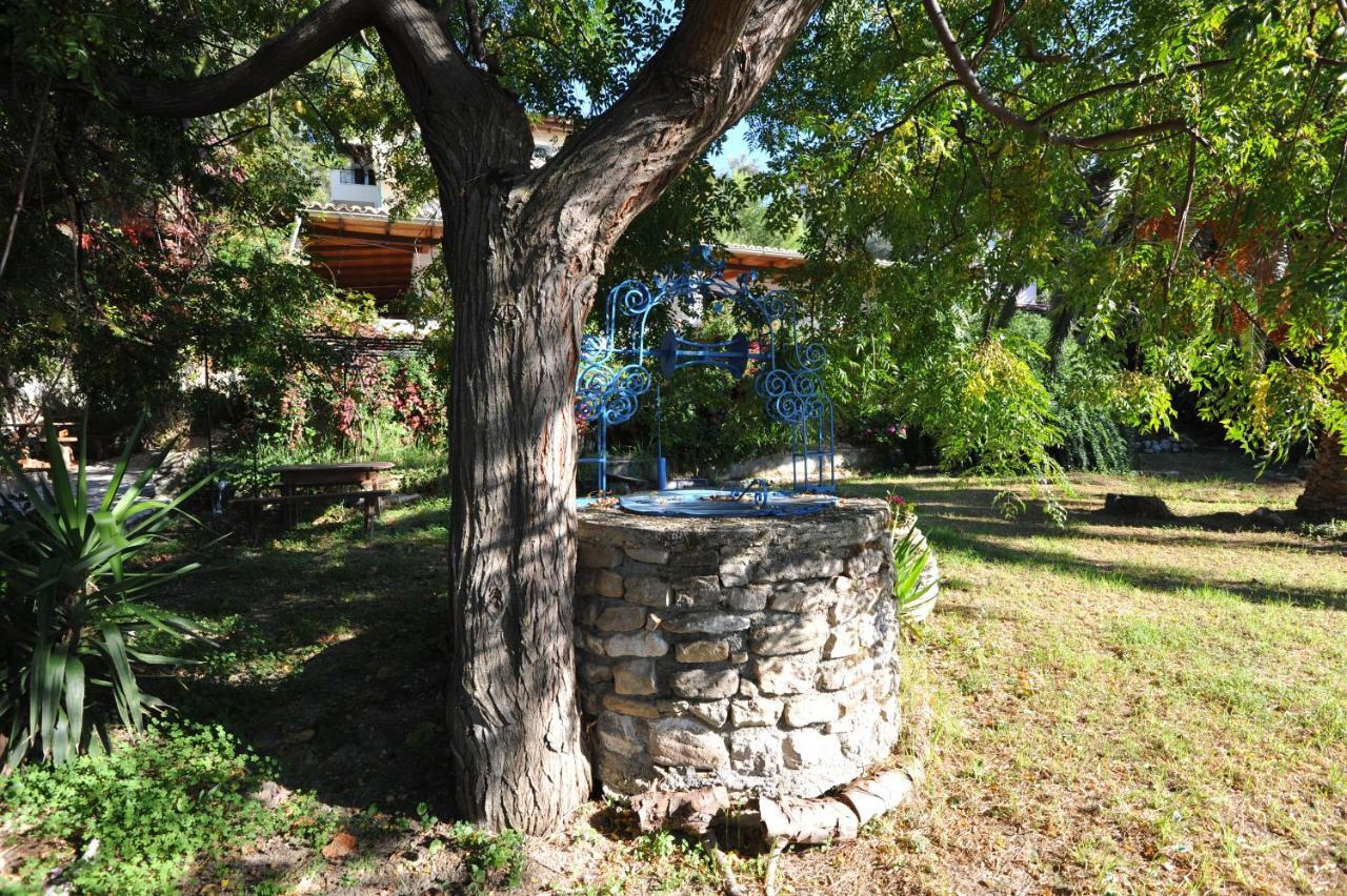 Villa Theodora View Apartments Zeys 아기오스 게오르기오스 파곤 외부 사진